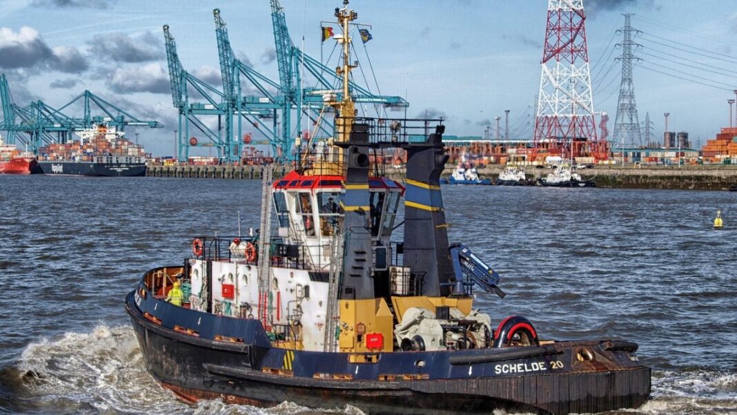 How Regional Instability Impacts Central African Markets