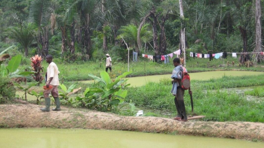 Special Economic Zones