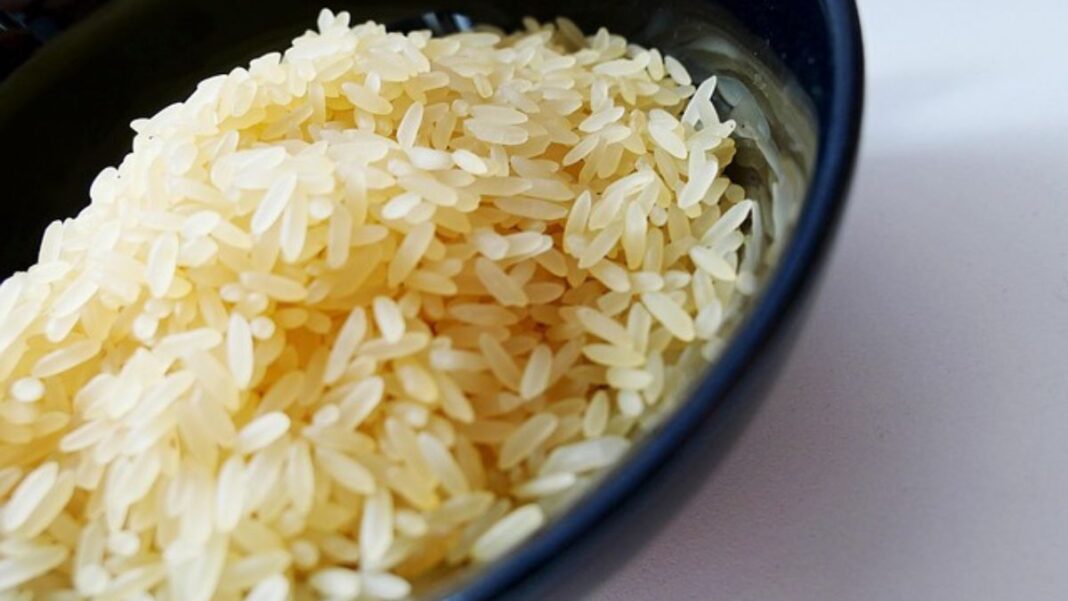 Rice Prices in Cameroon